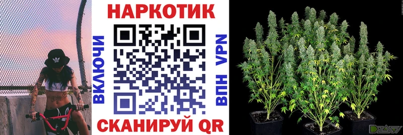 Купить Кола СК  МЕТАДОН  Кокаин  Меф мяу мяу  Псилоцибиновые грибы 