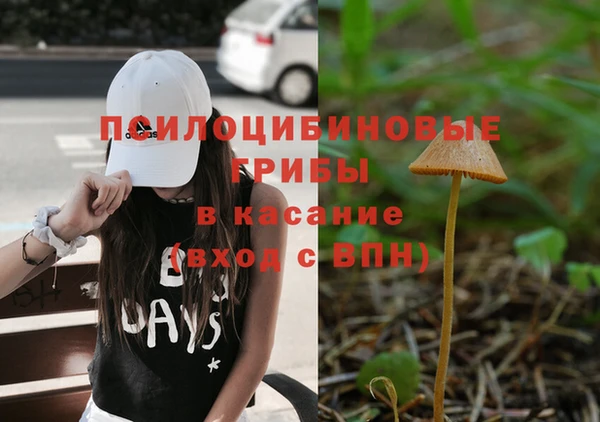 Альфа ПВП Протвино