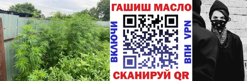 omg маркетплейс  Кола  ТГК гашишное масло  купить наркоту 