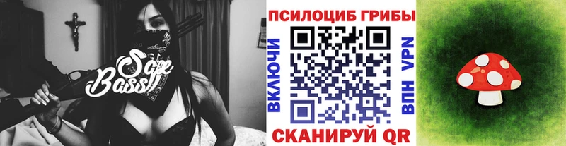 Псилоцибиновые грибы мицелий  даркнет сайт  Кола 